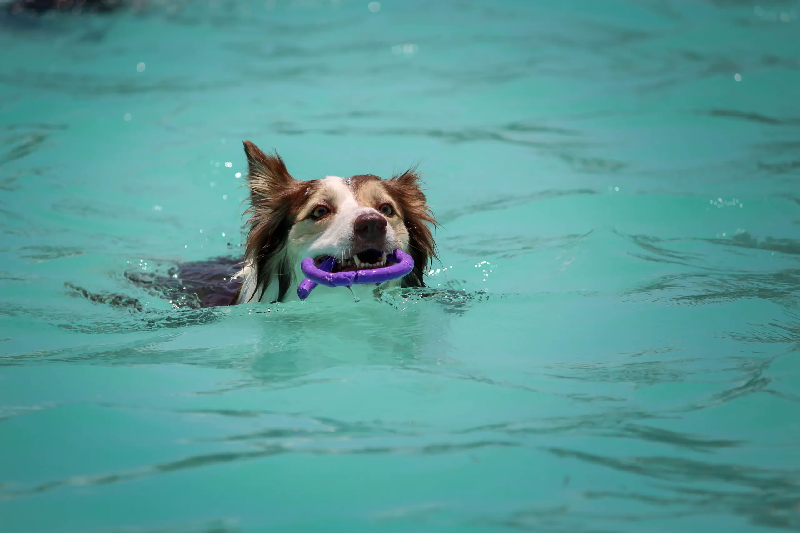 Arthritis treatment in water